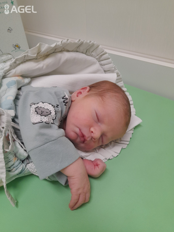 Tonko mal 3500 g a 50 cm | Zdroj: Nemocnica Agel Skalica