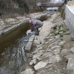 Mestská organizácia Slovenského rybárskeho zväzu v Trnave oživuje tok Trnávky pri ružovom parku. | Zdroj: MsO SRZ Trnava
