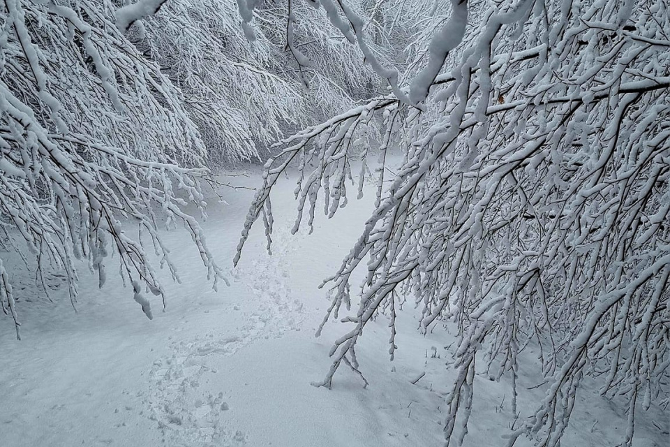 Takáto je veľkonočná snehová nádielka. | Foto: Rozhladna Velka Homola - Male Karpaty, fb