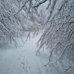 Takáto je veľkonočná snehová nádielka. | Foto: Rozhladna Velka Homola - Male Karpaty, fb