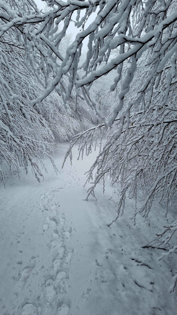 Takáto je veľkonočná snehová nádielka. | Foto: Rozhladna Velka Homola - Male Karpaty, fb