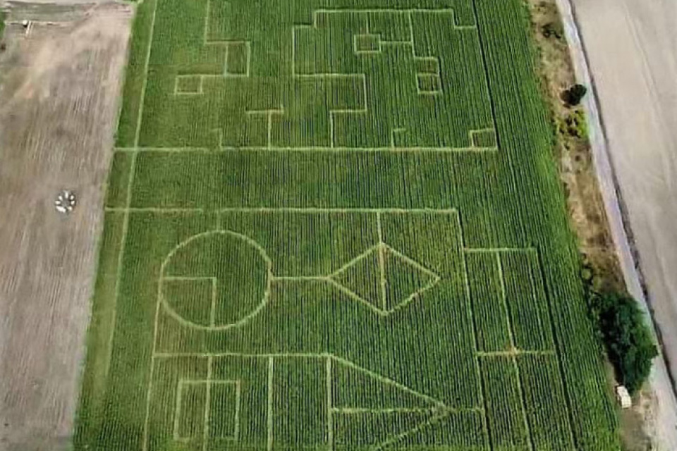 Kukuričné bludisko | Zdroj: FB kukuričné bludisko