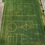 Kukuričné bludisko | Zdroj: FB kukuričné bludisko