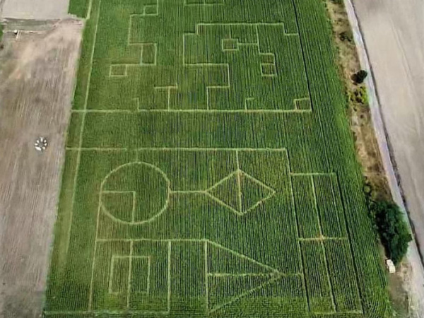 Kukuričné bludisko | Zdroj: FB kukuričné bludisko