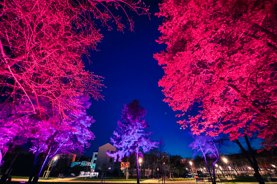 Na snímke oddychová lúka s ilumináciou korún stromov v Ružovom parku (22. 4. 2023) | Foto: red.