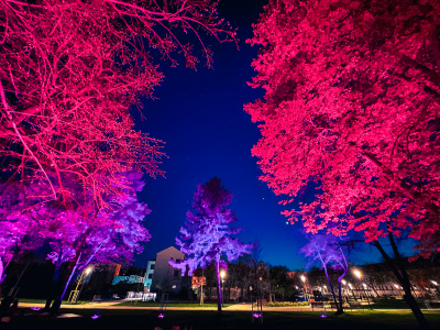 Na snímke oddychová lúka s ilumináciou korún stromov v Ružovom parku (22. 4. 2023) | Foto: red.