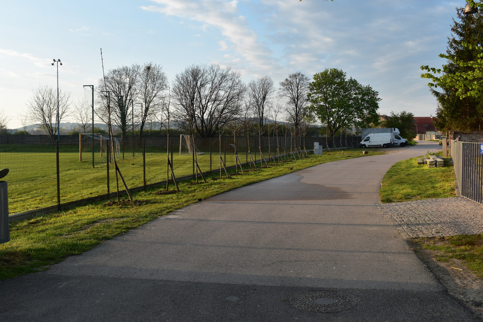 Mesto za stromy zaplatilo takmer 7-tisíc eur. | Zdroj: Mesto Leopoldov