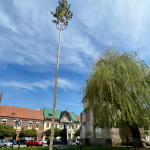 Máj v Skalici 