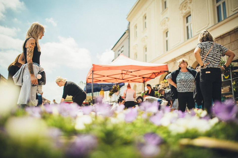 Májový kvet v Trnave v roku 2019. | Foto: Marek Martinek (Zaži v Trnave)