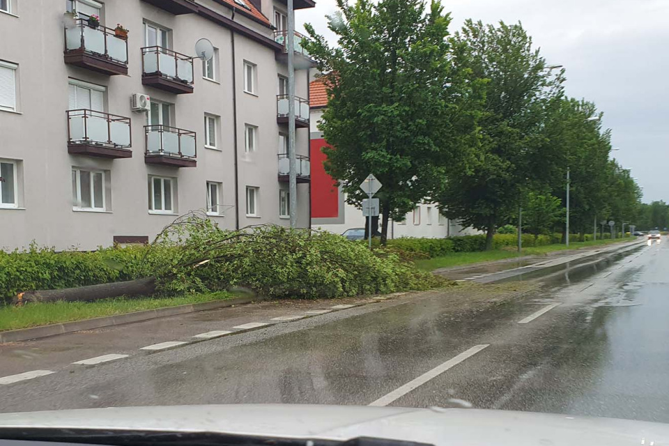 Spadnutý strom na Zelenečskej ulici v Trnave. | Zdroj: Silvia Bejdová