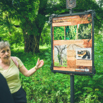 Chodníkom nás sprevádzajú náučné tabule | Foto: Obec Cífer