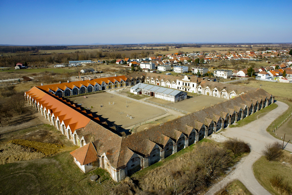 Premena žrebčína | Zdroj: Kopčany