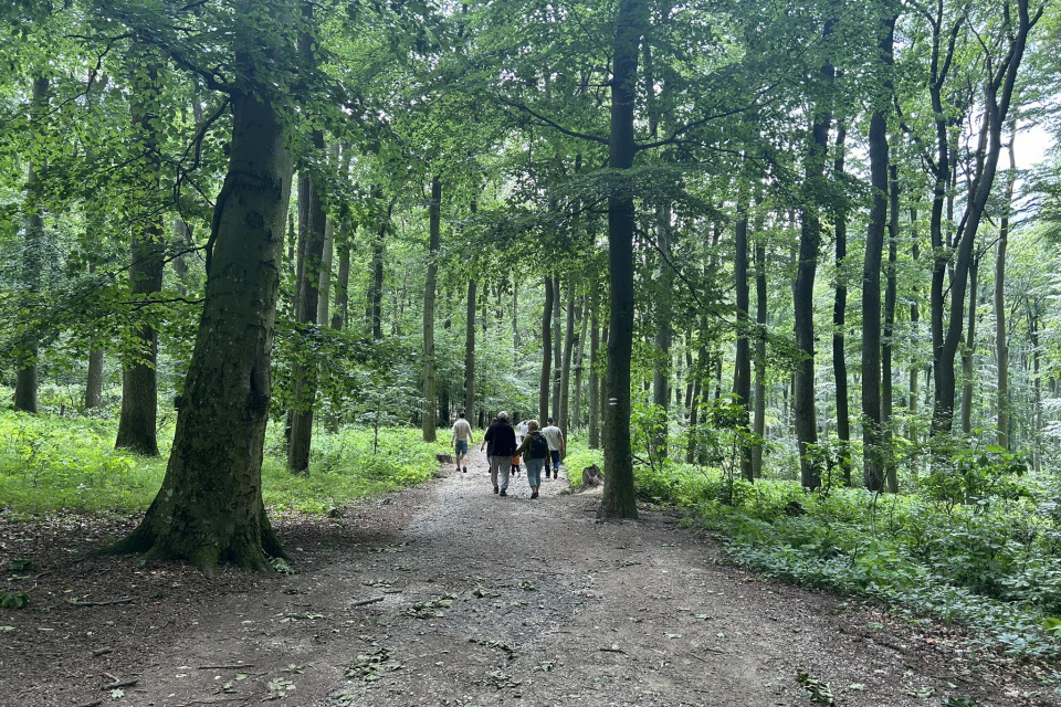 Pred vstupom vás čaká menšia turistika | Zdroj: red.