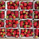 Najlepšie jahody vraj rastú v Hornej Strede | Zdroj: Abrod