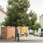 V Skalici sa pracuje na zlepšení parkovania | Zdroj: Mesto Skalica