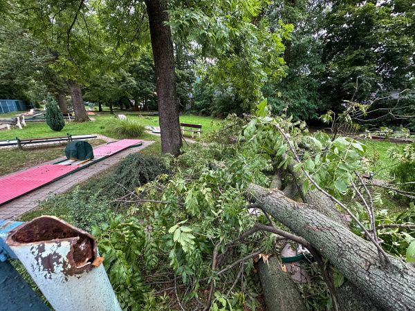 Strom zničil oplotenie a poškodil niekoľko dráh na trnavskom minigolfovom ihrisku. | Foto: Pavol Holý, Trnavské rádio