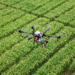 Monitorovanie úrody dronom. (ilustračné). | Foto: Pixabay