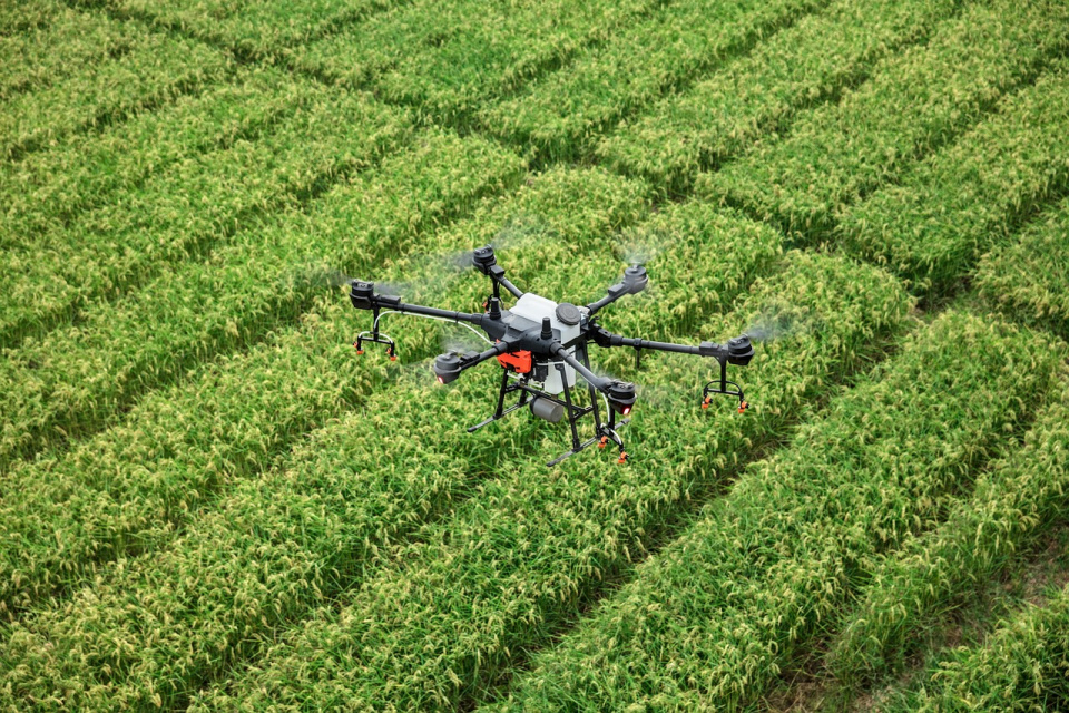 Monitorovanie úrody dronom. (ilustračné). | Foto: Pixabay
