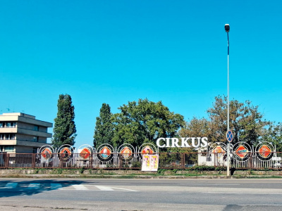 Pod oknami nemocnice vyrástol cirkus | Zdroj: Pavol Holý, Trnavské rádio