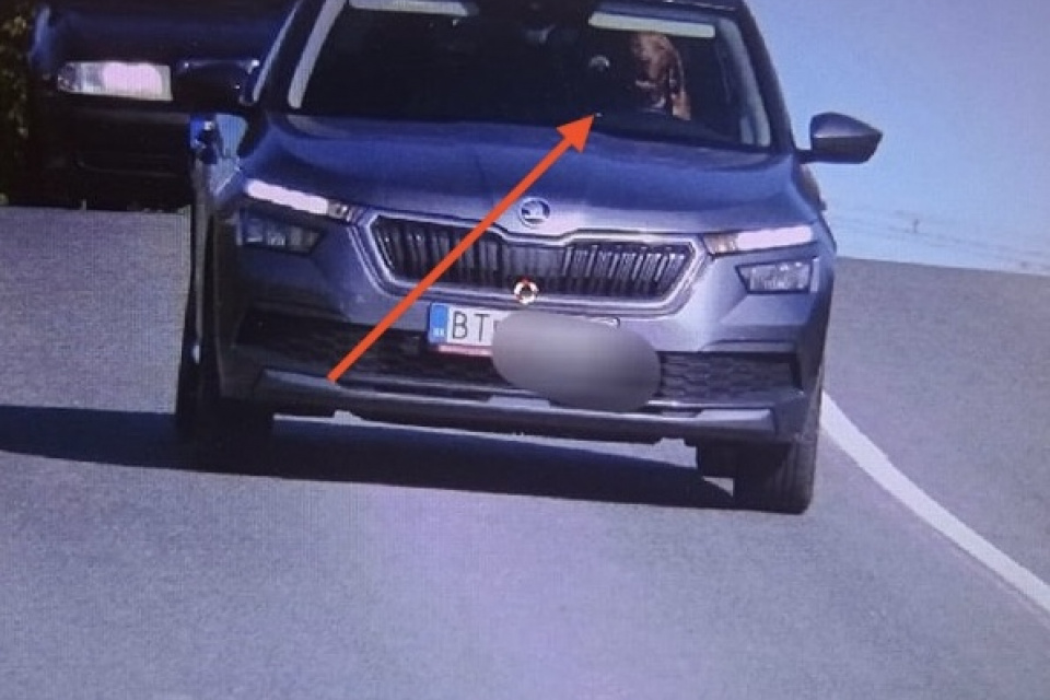 Do policajnej kamery sa usmial namiesto vodiča pes | Foto: KRPZTT