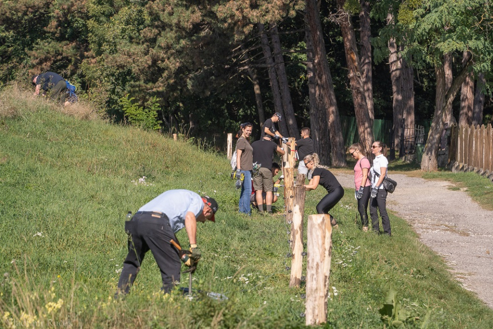 Takto sa pracovalo na ohrade | Zdroj: smolenice.com