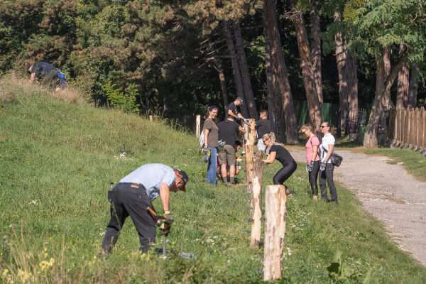Takto sa pracovalo na ohrade | Zdroj: smolenice.com