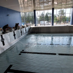 Napúšťanie bazéna | Zdroj: Fond na podporu športu