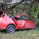 Auto skončilo mimo cesty | Zdroj: Polícia SR  - Trnavský kraj