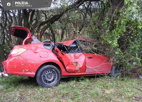 Auto skončilo mimo cesty | Zdroj: Polícia SR - Trnavský kraj