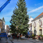 Vianočný stromček už stojí na Winterovej ulici | Zdroj: Mesto Piešťany
