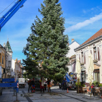 Do Piešťan dorazil vianočný stromček | Zdroj: Mesto Piešťany