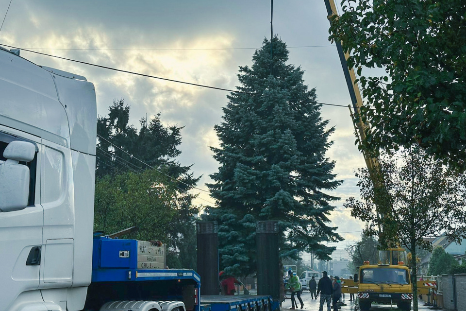 Vianočný stromček vyrazí na cestu do centra Trnavy | Zdroj: Kamila Pánisová, Trnavské rádio