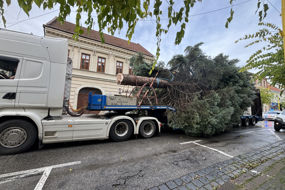 Stromček už je na Štefánikovej ulici | Foto: Zuzana Benková, Trnavské rádio