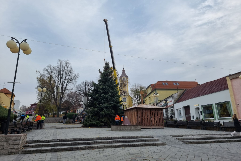 Stromček už je ukotvený | Zdroj: Mesto Holíč