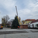 Stromček už je ukotvený | Zdroj: Mesto Holíč