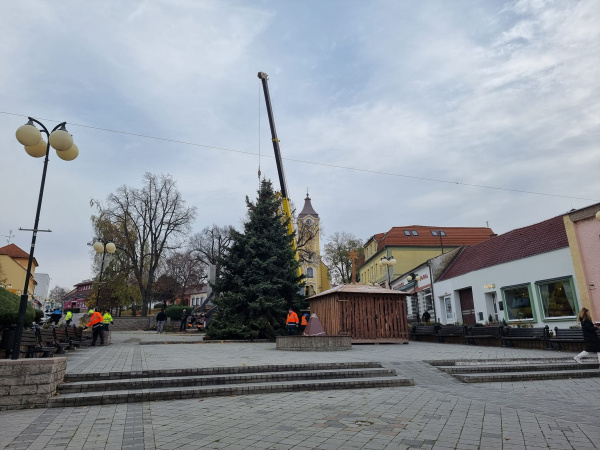 Stromček už je ukotvený | Zdroj: Mesto Holíč