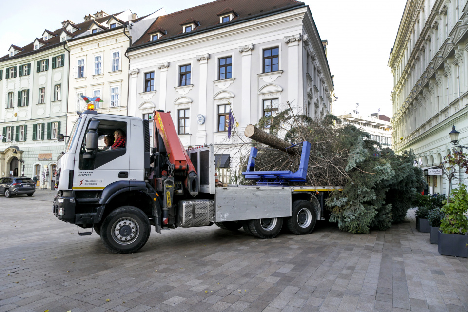 Presun stromu je neľahkou úlohou | Ilustr. foto: TASR, Dano Veselský 