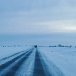 Cesty na Záhorí. | Foto a text: Martin Štellár