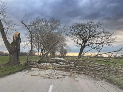 Vietor môže spôsobiť prekážky na cestách. Ilustračná snímka z nášho kraja. | Zdroj: Trnavské rádio, archív