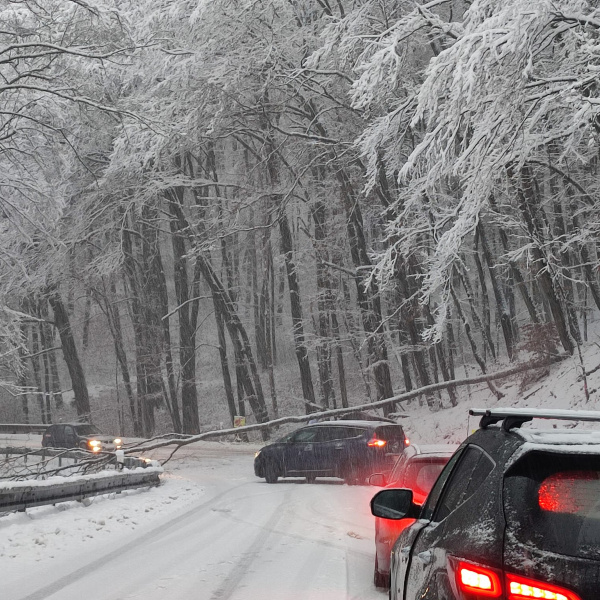 Spadnutý strom paralyzoval aj horský priechod Biela Hora. | Foto: Lusy Vašková, fb
