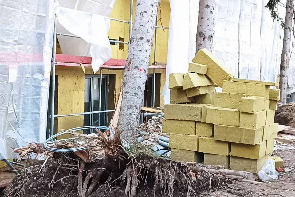 Strom mal korene vonku | Zdroj: DHZ Voderady