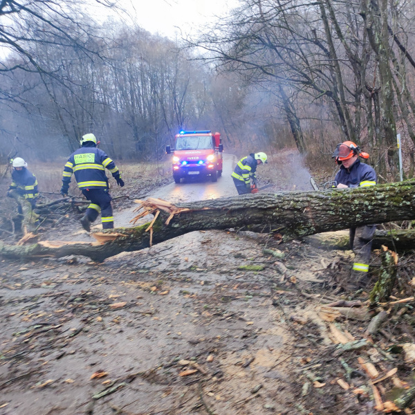 Dobrovoľní hasiči robili poriadky na ceste z Moravian nad Váhom smerom na Výtoky. | Foto: DHZ Moravany nad Váhom, fb