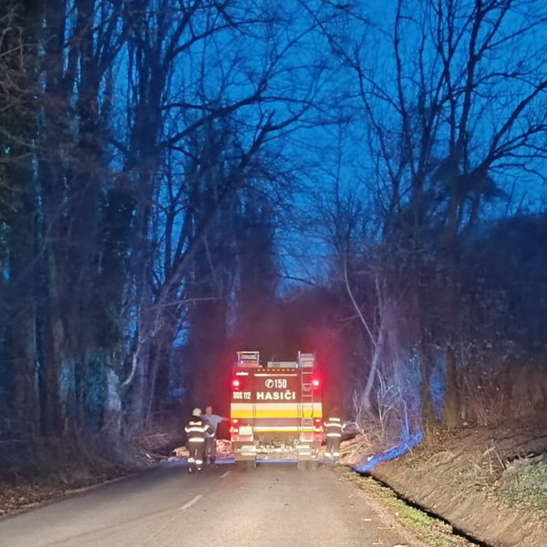 S prekážkou zápasia hasiči. | Foto: Michaela Činčurova, Dopravný servis Okres Hlohovec a okolie, fb
