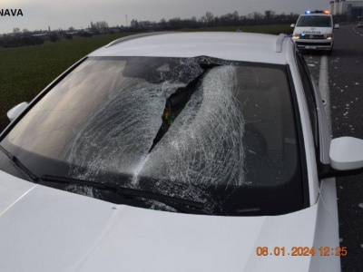Dôsledkom nehody v Trnave bolo zranenie aj zničené čelné sklo | Zdroj: KRPZTT