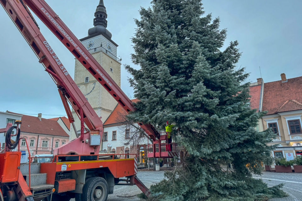 Stromček aktuálne demontujú | Zdroj: dv, Trnavské rádio