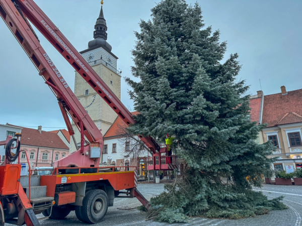 Stromček aktuálne demontujú | Zdroj: dv, Trnavské rádio