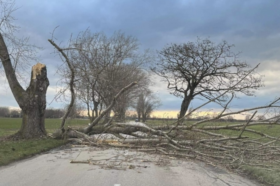 Silný vietor v minulosti v Trnavskom kraji váľal stromy |  Zdroj: KRPZTT