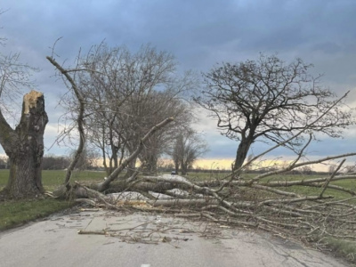 Silný vietor v minulosti v Trnavskom kraji váľal stromy |  Zdroj: KRPZTT