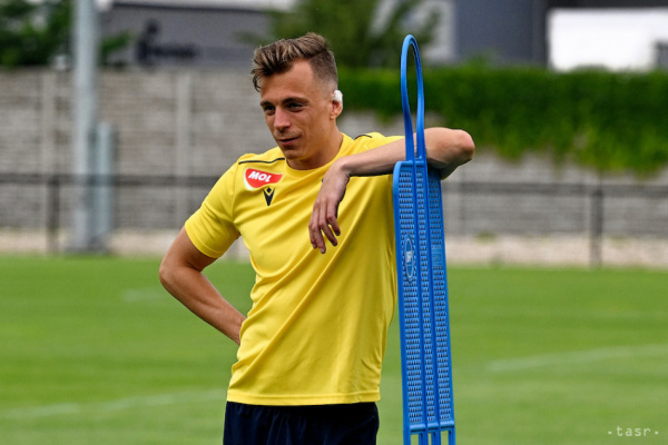 Pinto ide domov | Foto: TASR