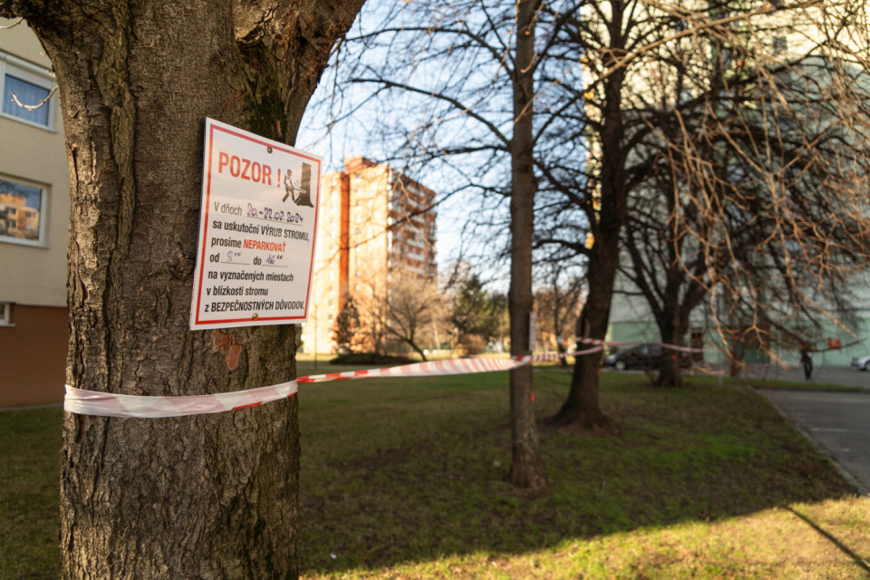 Konkrétne stromy sú označené | Zdroj: Mesto Trnava